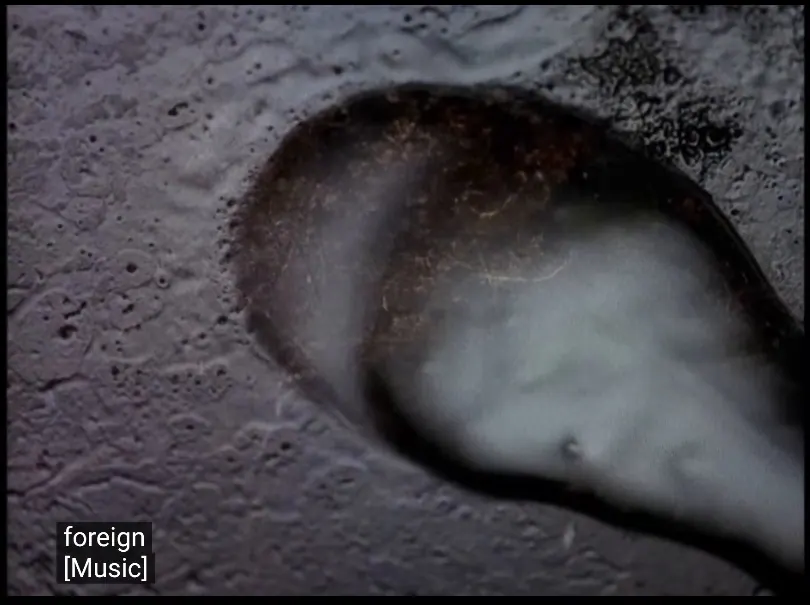 02:27 · Ambiguous detail